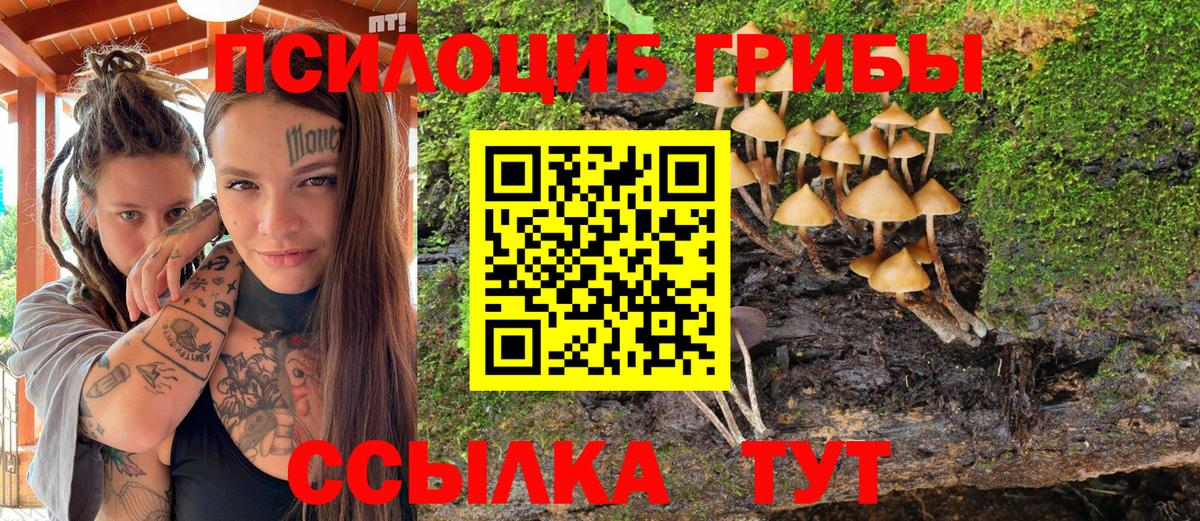 Знаменск  закладка  Галлюциногенные грибы GOLDEN TEACHER  Вход с VPN  Псилоцибиновые грибы мухоморы 